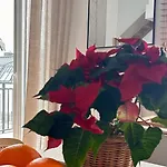 Apartamento W Slupsku Winda Parking Balkon