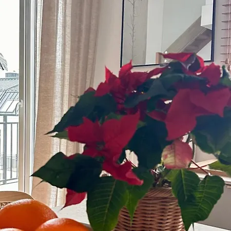 Apartment W Slupsku Winda Parking Balkon