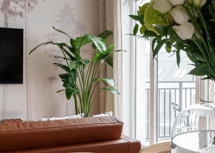 W Slupsku Winda Parking Balkon *