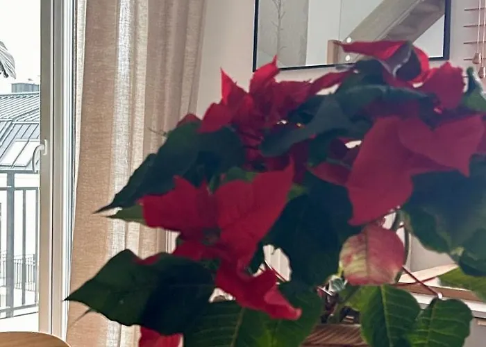 Apartment W Slupsku Winda Parking Balkon